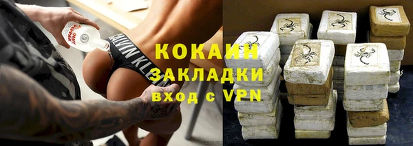мдпв Гусев