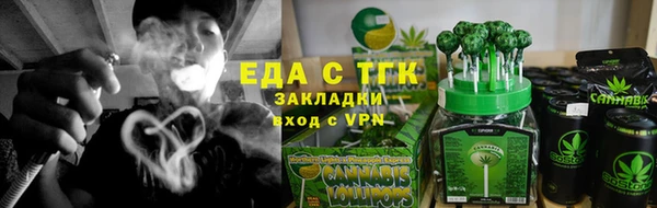 мдпв Гусев