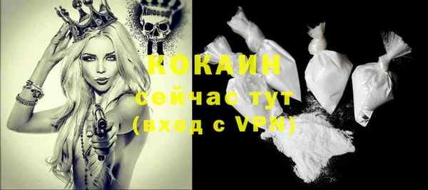 мдпв Гусев