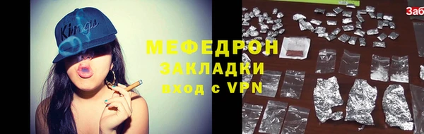 мдпв Гусев