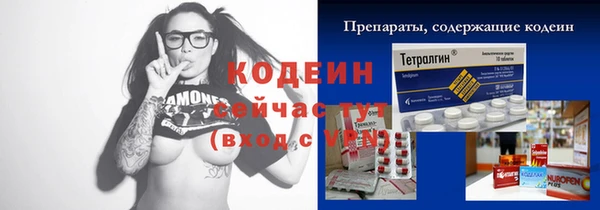 мдпв Гусев