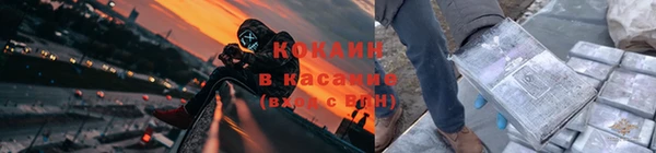 мдпв Гусев