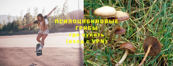 МДПВ Гусиноозёрск