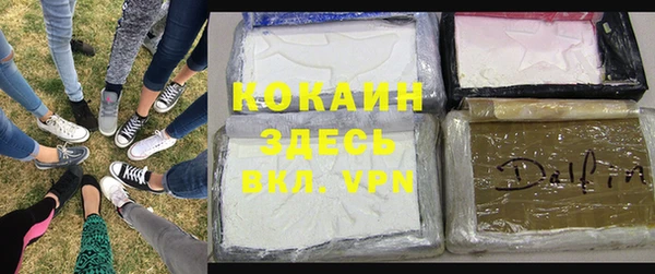 мдпв Гусев