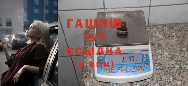 мдпв Гусев