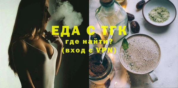 мдпв Гусев