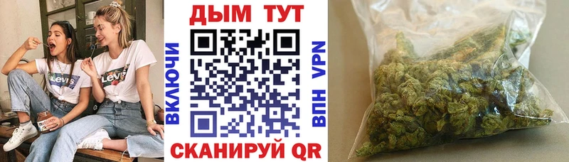 купить наркотики сайты  Злынка  Конопля AK-47 